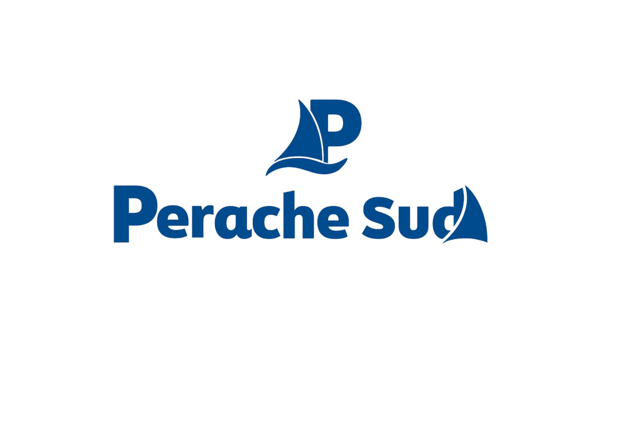 Perache Sud