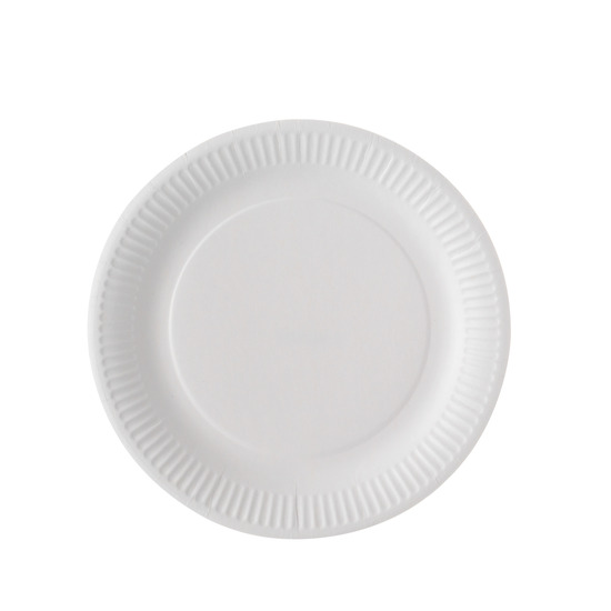 ASSIETTE CARTON 23CM - LE MILLE