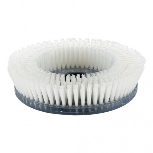 BROSSE DE LAVAGE POUR AUTOLAVEUSE MAMBO 2 - UNITE