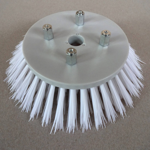 BROSSE STANDARD POUR SCRUBBY - UNITE