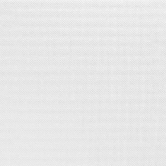 SERVIETTE DOUBLE POINT BLANCHE GENERIQUE 38X38 - LE CARTON